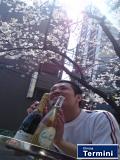 ひとこと写真